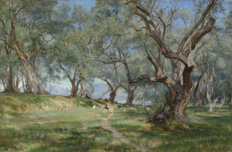 Olive grove in Mentona, 1893. Creator: Christian Zacho.