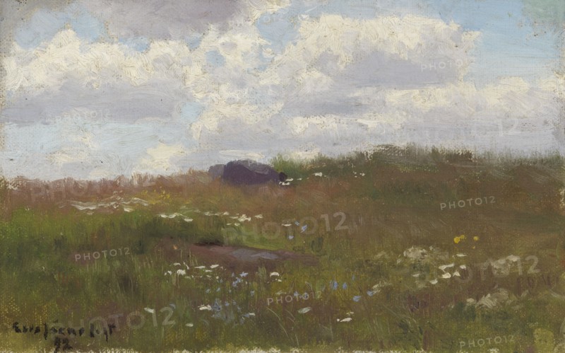Meadow with Summer Flowers, 1892. Creator: Eero Jarnefelt.