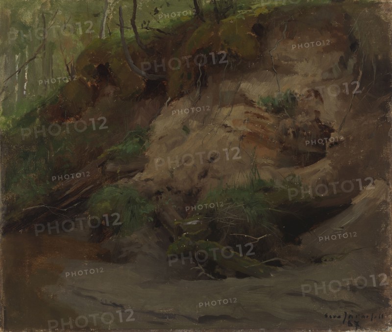 Forest with a Sandy Slope, 1887. Creator: Eero Jarnefelt.