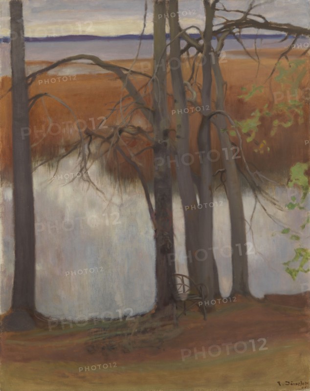 Lake Shore with Reeds, 1905. Creator: Eero Jarnefelt.