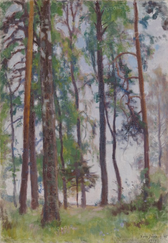 Pines, 1919. Creator: Eero Jarnefelt.