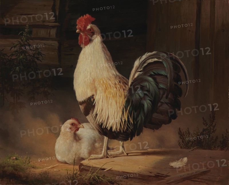 Cock and Hen, 1867. Creator: Ferdinand von Wright.