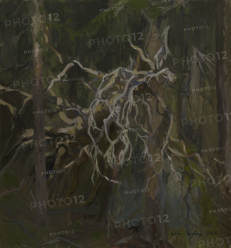 Broken Hollow Pine, 1905. Creator: Gabriel Engberg.