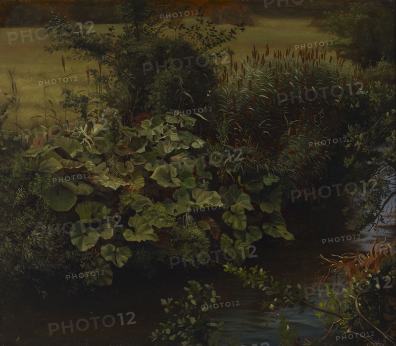 Brook, copy after Johann Wilhelm Schirmer, 1860-1880. Creator: Hjalmar Munsterhjelm.