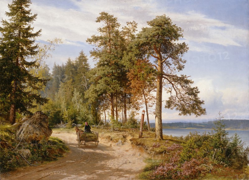 A road in Finland, 1865. Creator: Hjalmar Munsterhjelm.