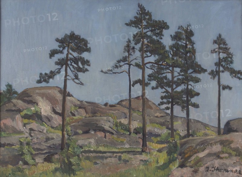 Pine trees on rocky ground, 1942. Creator: Ilmari Ikonen.