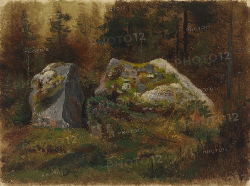 Mossy stones in the forest. Creator: Johan Knutson.