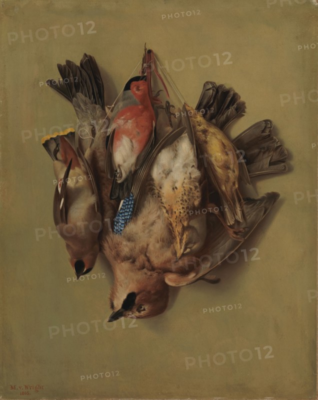 Hanging Birds, 1865. Creator: Magnus von Wright.