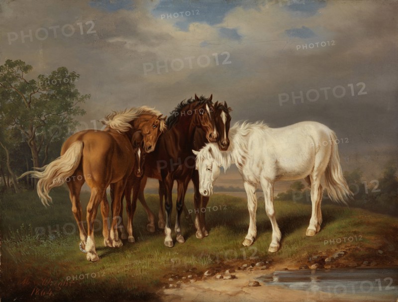 Horses, after Carl Wahlbom, 1864. Creator: Magnus von Wright.