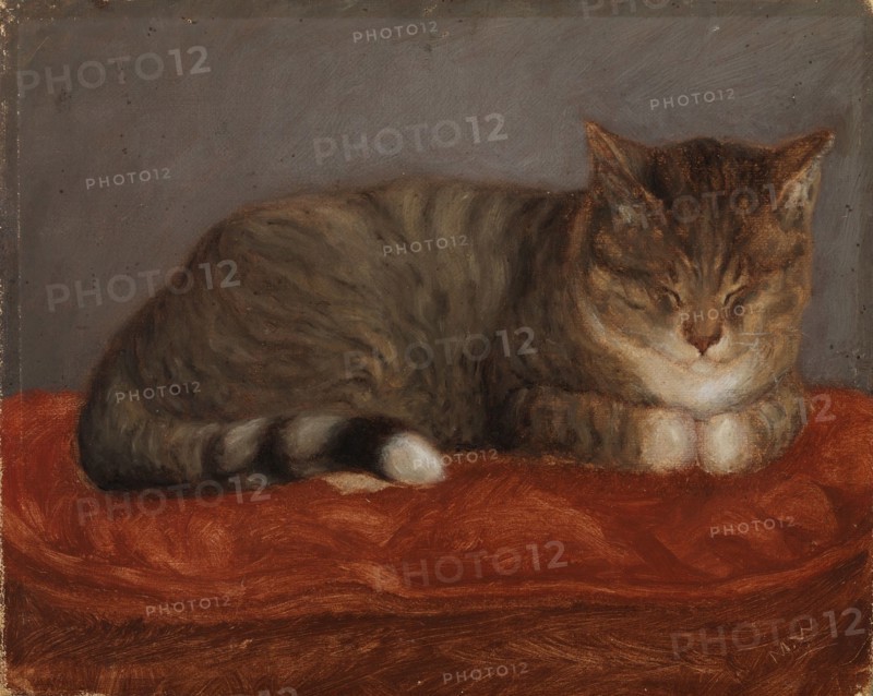 Lying cat, Mosse, 1872-1873. Creator: Maria Wiik.