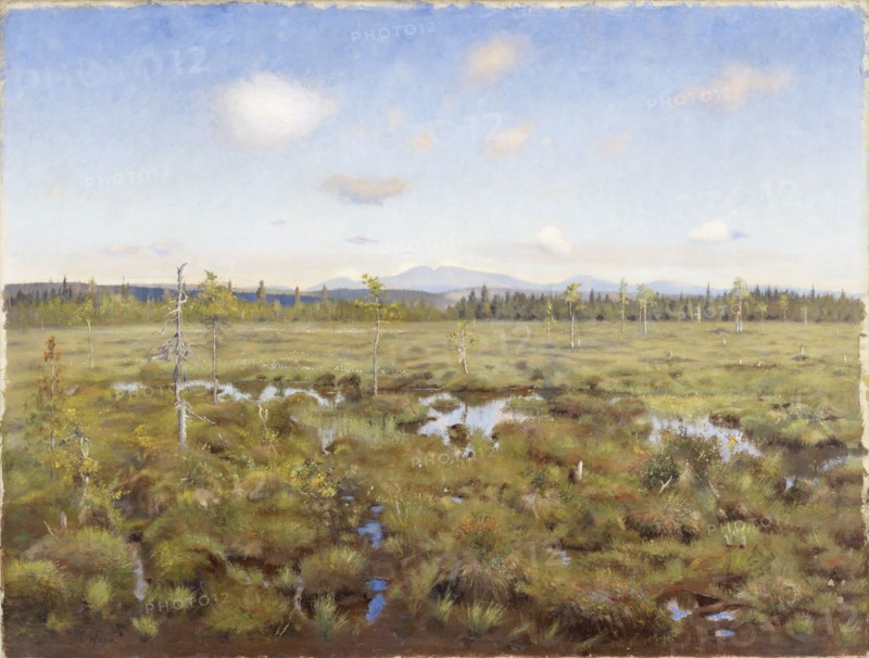 Landscape from Lapland, 1892. Creator: Torsten Wasastjerna.