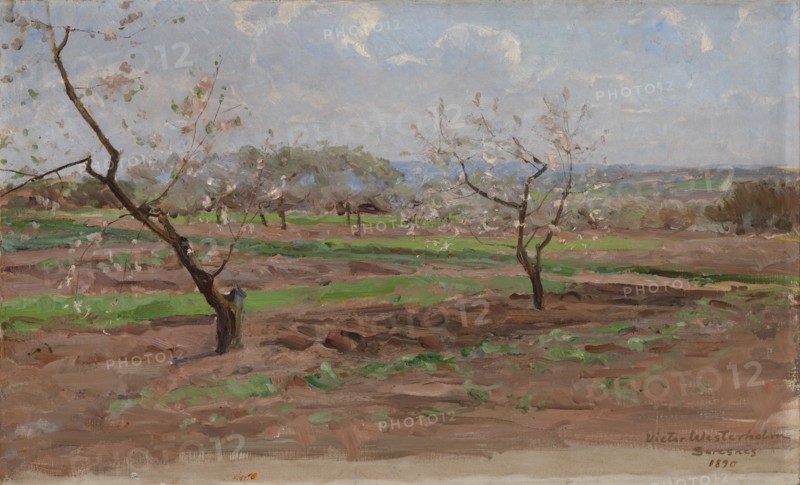Fruit-Trees in Bloom, Suresnes, 1890. Creator: Victor Westerholm.