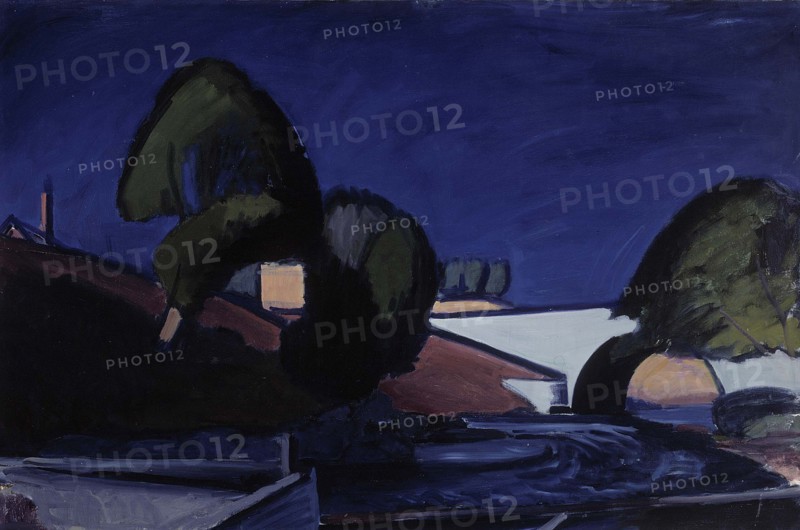 View from Muurame, 1929. Creator: William Lonnberg.
