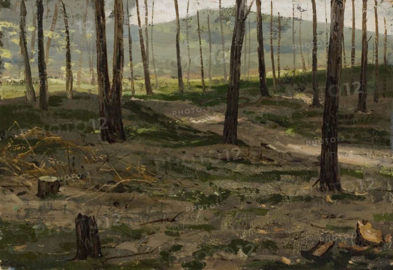 Landscape from Rath, 1880. Creator: Victor Westerholm.