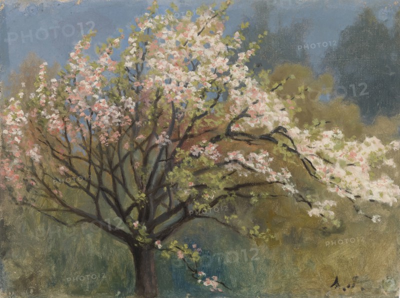 Fruit Tree in Blossom, c1900s. Creator: Arvid Jarnefelt.
