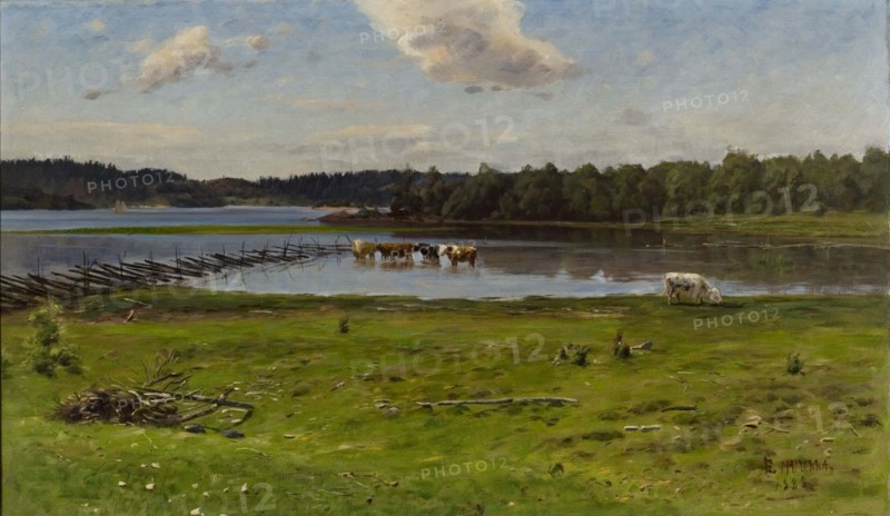Shore Landscape from Aland, 1888. Creator: Elias Muukka.