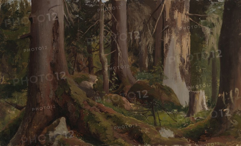 Forest, study, 1872. Creator: Fanny Churberg.