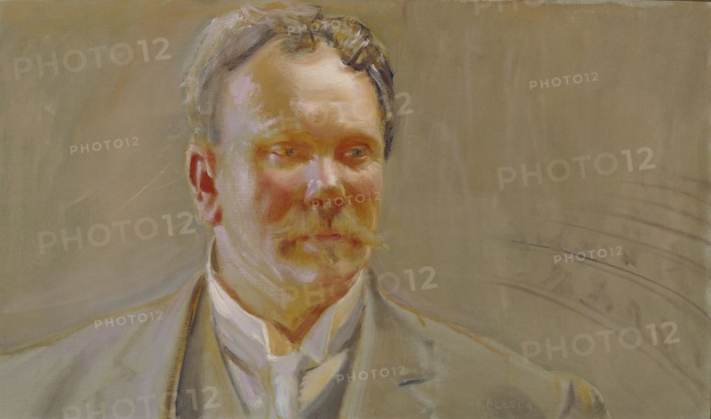 Portrait of Professor E.N.Setälä, 1911. Creator: Akseli Gallen-Kallela.