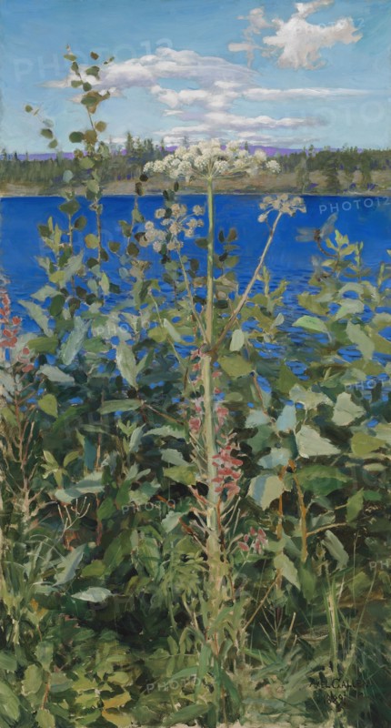 Wild Angelica, 1889. Creator: Akseli Gallen-Kallela.