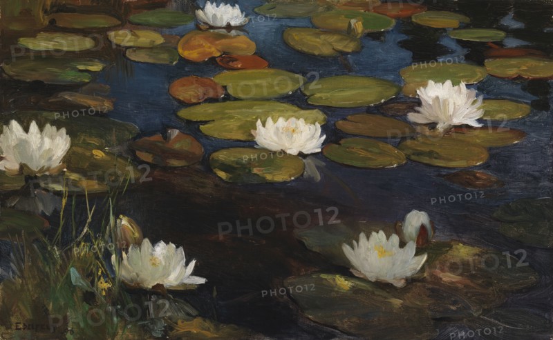 Water Lilies, study for the Youth and a Mermaid, 1896. Creator: Albert Edelfelt.