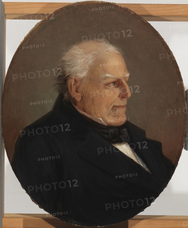 Portrait of Counsellor H. Rosenberg, 1875. Creator: Erik Johan Lofgren.