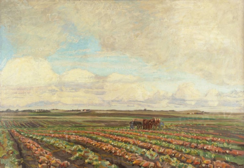 Harvest of Turnips, 1925-1927. Creator: Fritz Syberg.