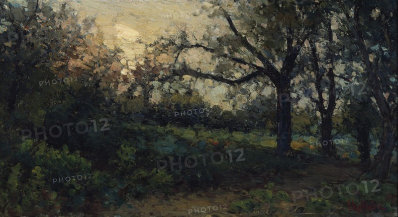 Evening sun, 1879. Creator: Per Ekstrom.