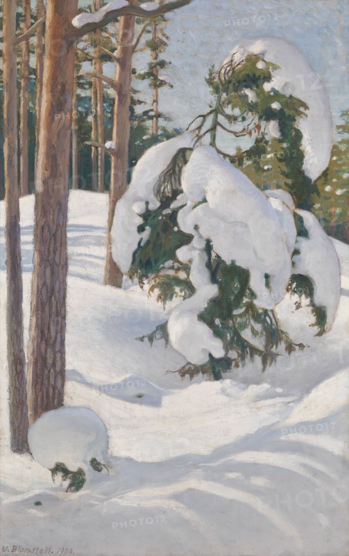Winter Landscape, 1904. Creator: Vaino Blomstedt.