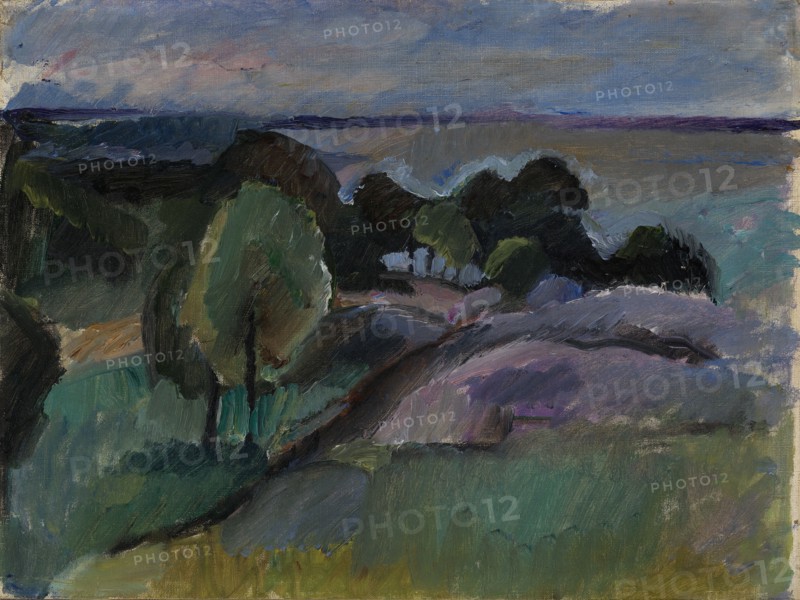 Landscape from Korkeasaari, 1913. Creator: Valle Rosenberg.