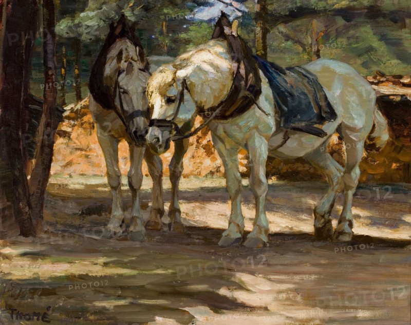 Horses, 1901. Creator: Verner Thome.