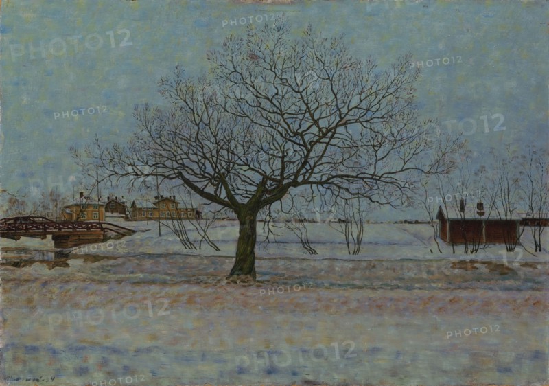 Sallow; The Weeping Willow, 1934. Creator: Vilho Lampi.