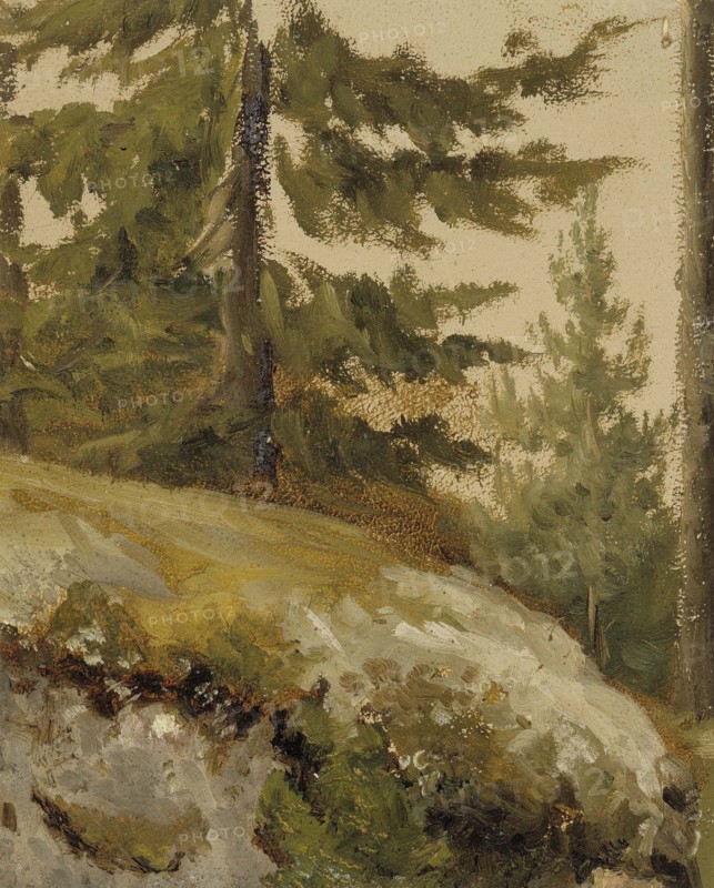 Metsännyplä, sketch, (forest, sketch),  c1890s. Creator: Albert Edelfelt.