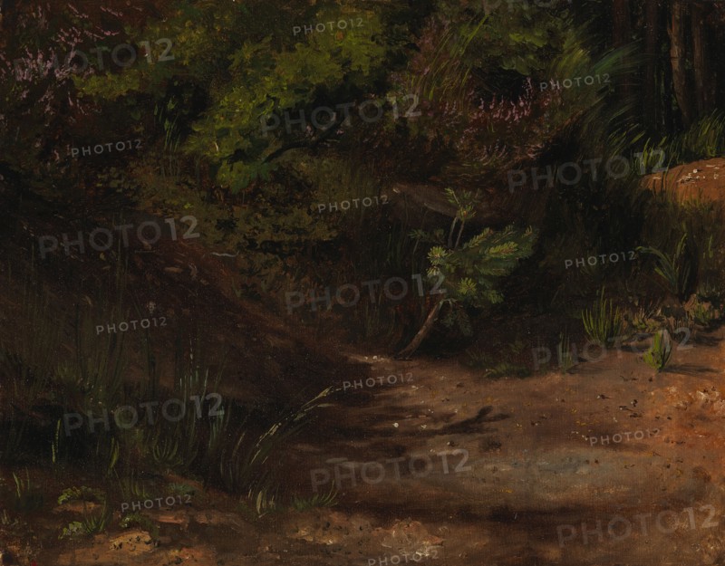 Sand land, exercise, 1854. Creator: Werner Holmberg.