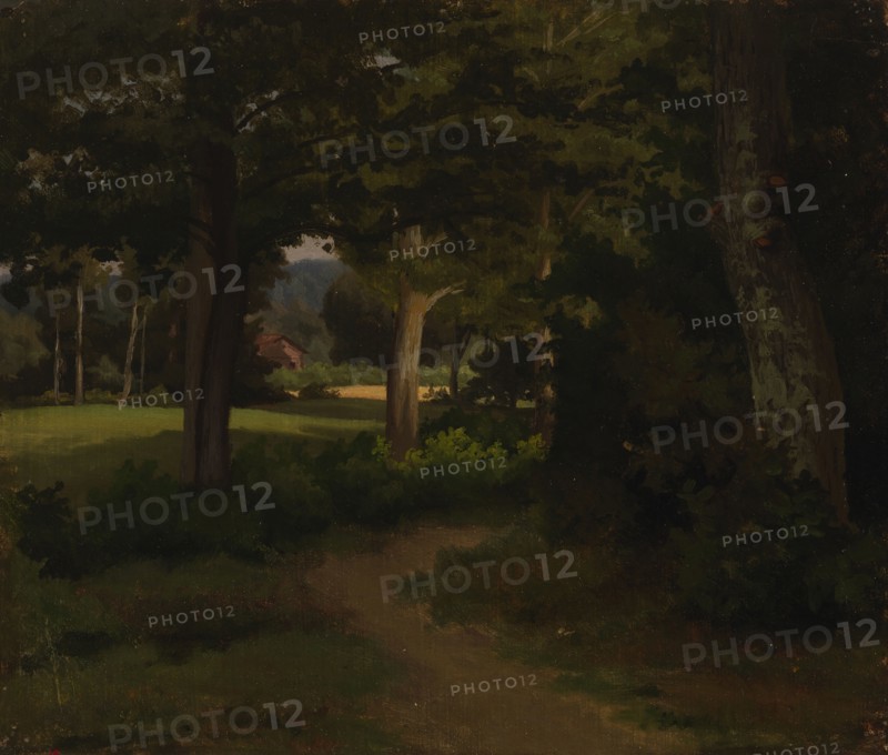 Forest path, landscape exercise, 1856. Creator: Werner Holmberg.