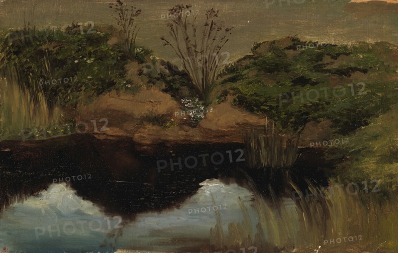 Lake shore, exercise, 1854. Creator: Werner Holmberg.