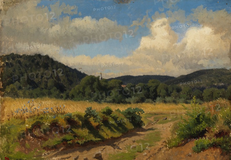 Cornfield at the edge of the forest, exercise, 1854. Creator: Werner Holmberg.