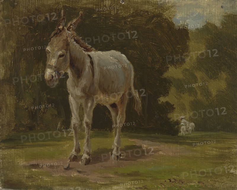 Ass, 1854. Creator: Werner Holmberg.
