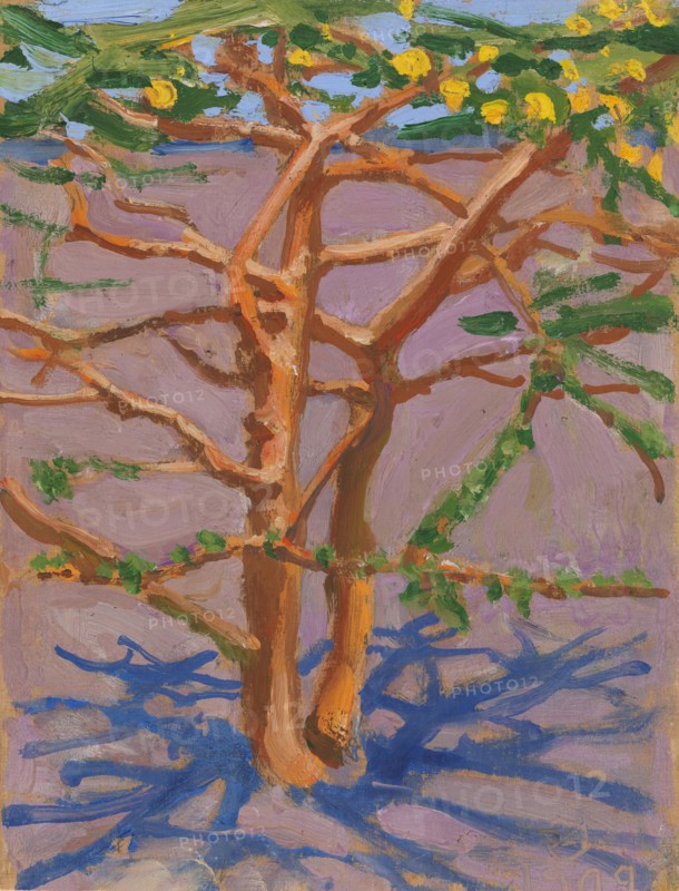 Acacia on the Savannah, 1909. Creator: Akseli Gallen-Kallela.