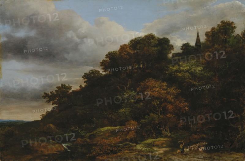 A wooded hill, 1648-1682. Creator: Jacob van Ruisdael.