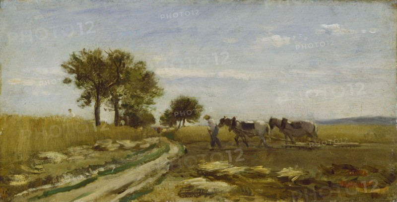 Fields, 1862. Creator: Charles Francois Daubigny.