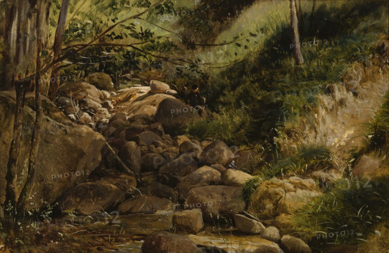 Brook, 1868. Creator: Berndt Lindholm.