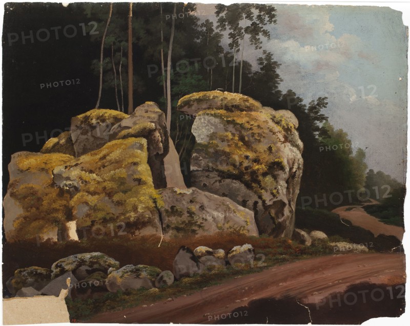 Landscape Study, Mossy Rocks at Roadside. Creator: Magnus von Wright.