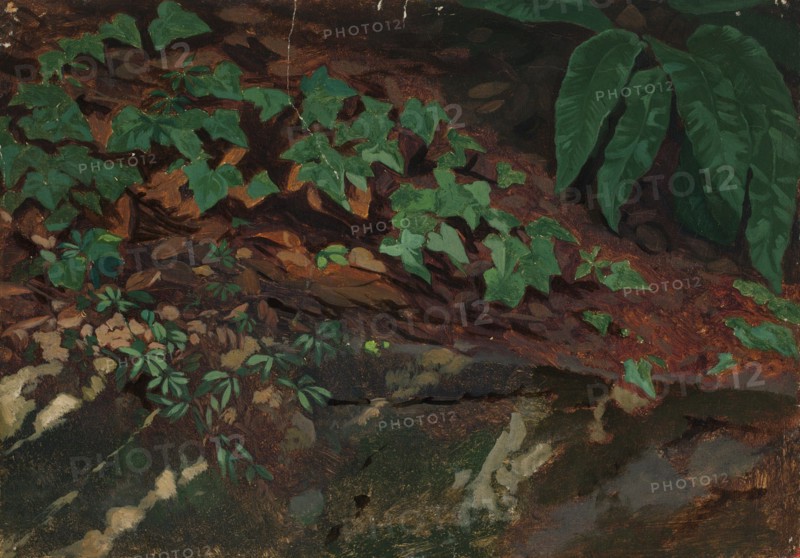 Exercise, leaves, 1835-1853. Creator: Nils Jakob Blommer.