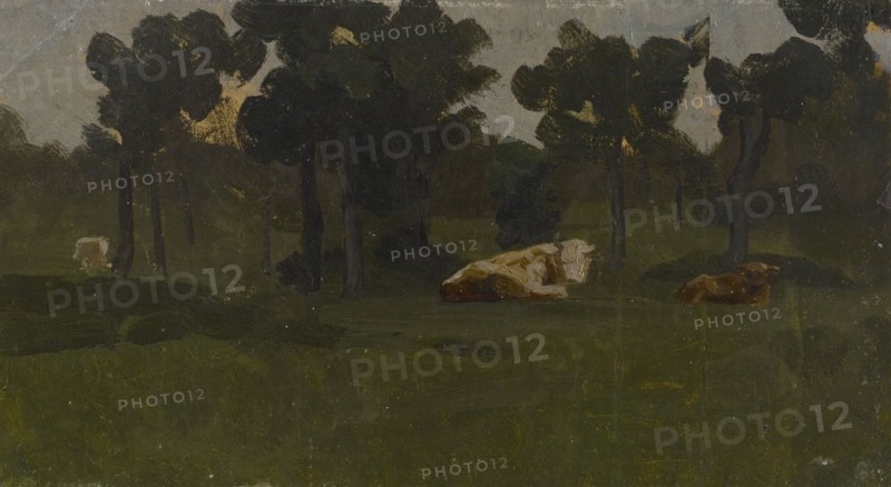 Paddock. Creator: Victor Westerholm.