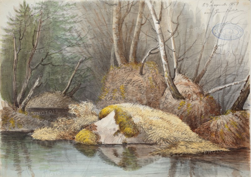 Spring forest interior and flooded bogs, 1851. Creator: Magnus von Wright.