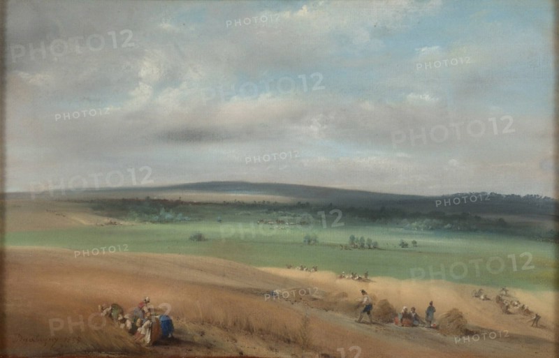Harvest, 1855. Creator: Charles Francois Daubigny.