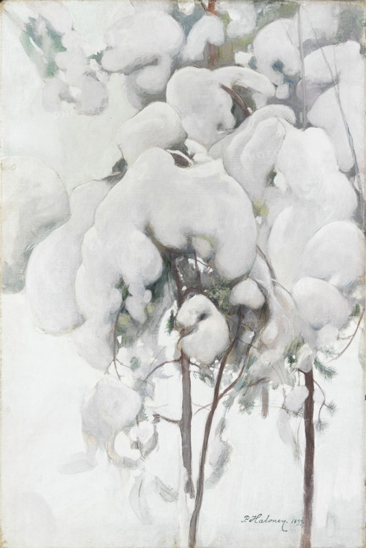 Snow-Covered Pine Saplings, 1899. Creator: Pekka Halonen.