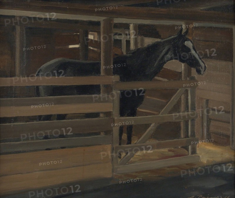 Jallu the black horse in his stall, 1929. Creator: Alexander Paischeff.