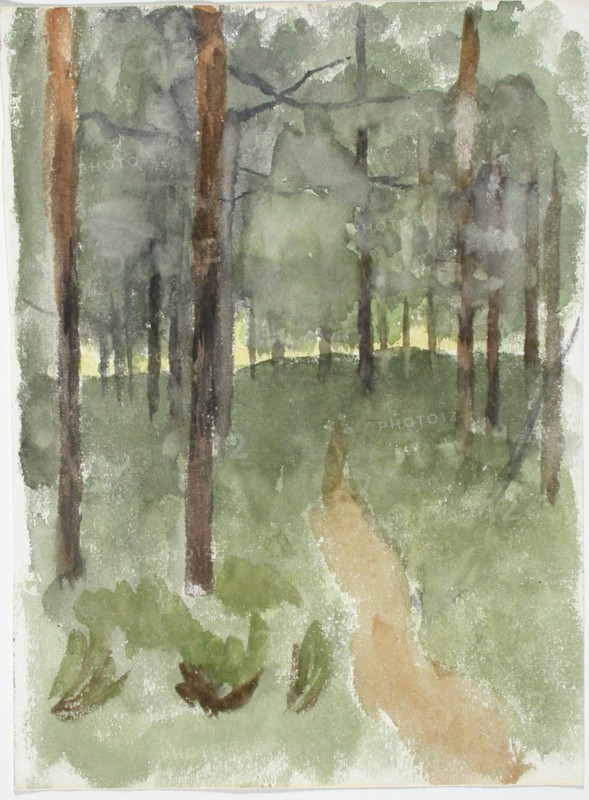 Forest path. Creator: Maria Wiik.