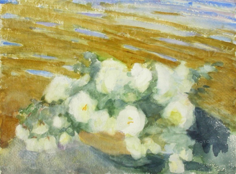 White roses in a vase. Creator: Maria Wiik.